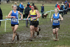 Senior womens 2018 British Inter Counties Cross Country Champs., Prestwold Hall, Loughborough. Photo: David T. Hewitson/Sports for All Pics